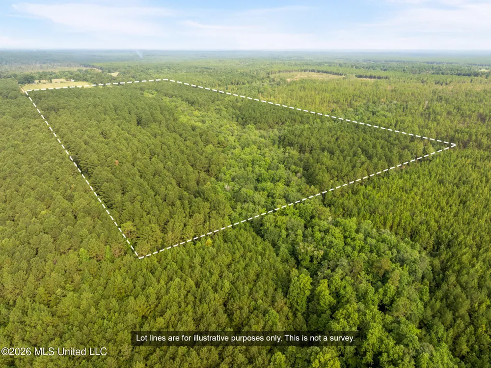 Arthur Lowe Road Lumberton, MS 39455