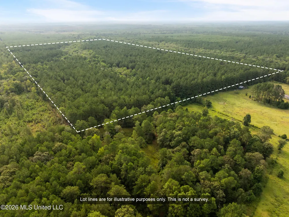 Arthur Lowe Road Lumberton, MS 39455
