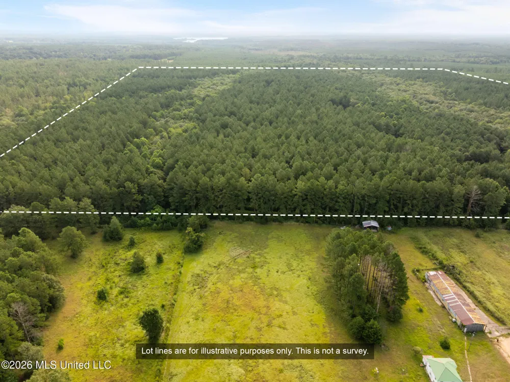 Arthur Lowe Road Lumberton, MS 39455