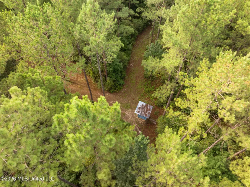 Arthur Lowe Road Lumberton, MS 39455