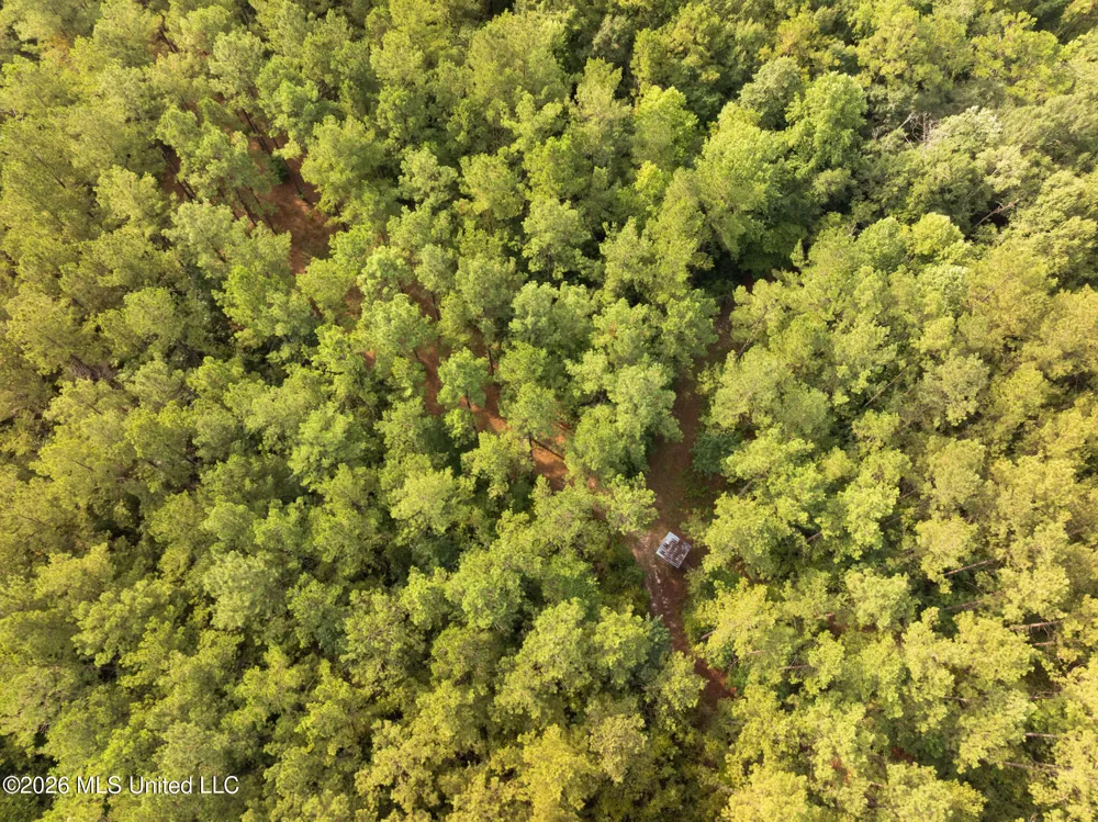 Arthur Lowe Road Lumberton, MS 39455