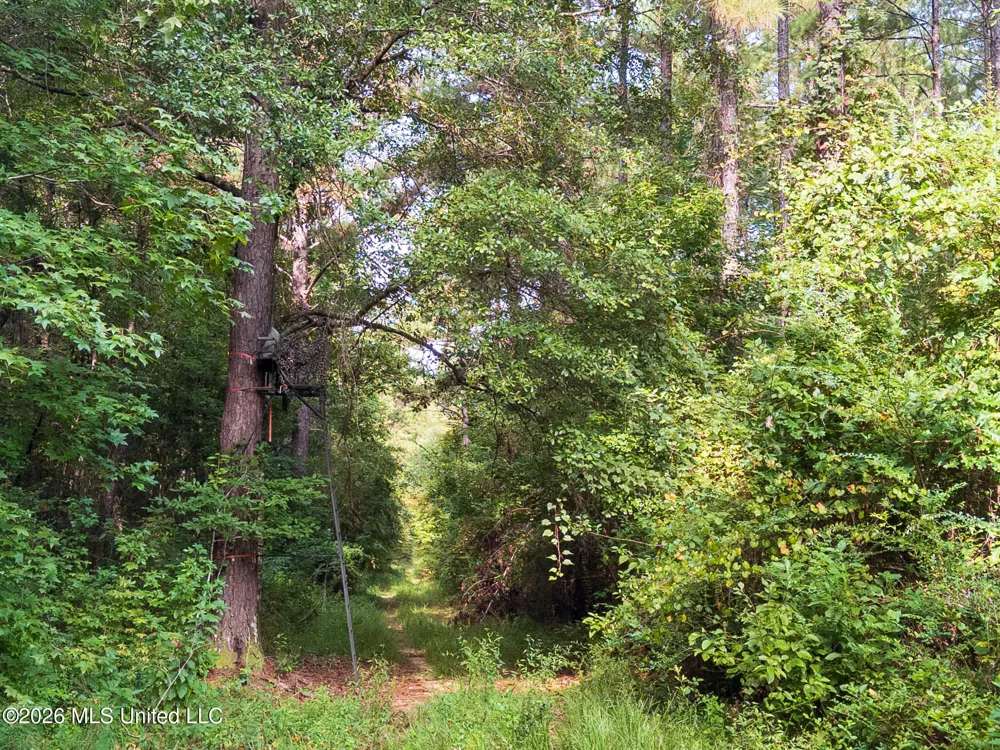 Arthur Lowe Road Lumberton, MS 39455