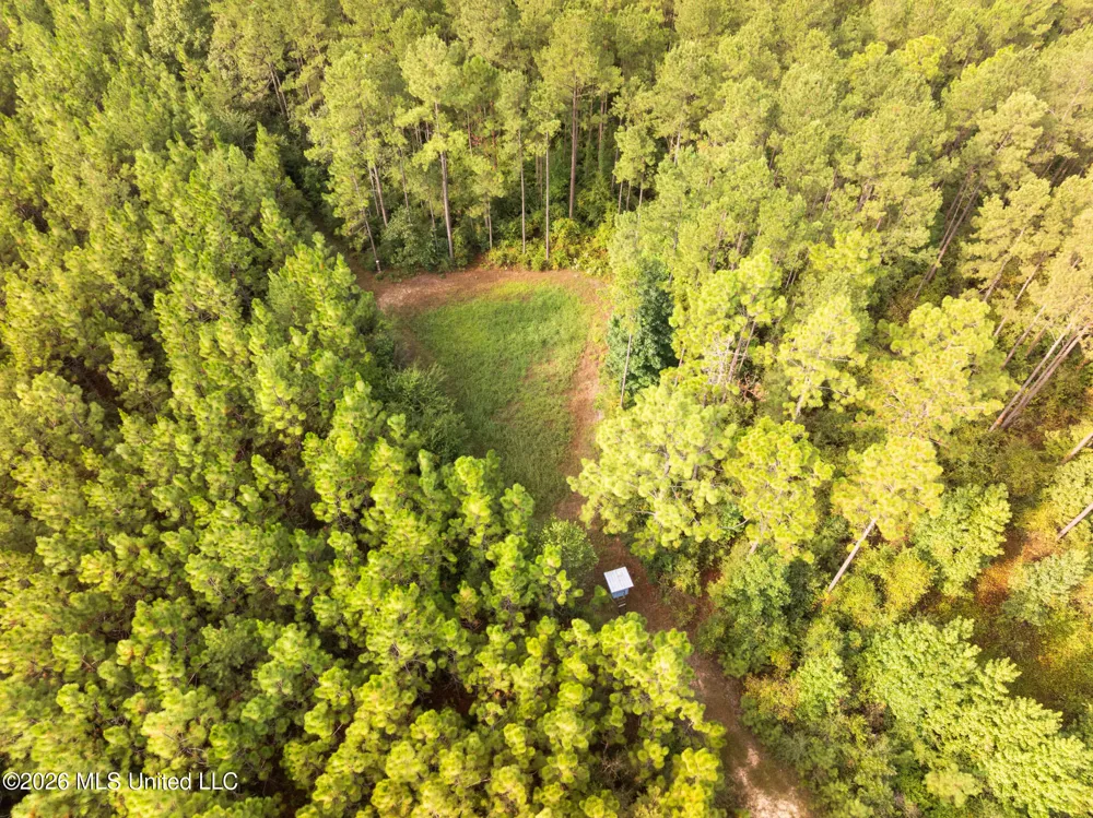 Arthur Lowe Road Lumberton, MS 39455