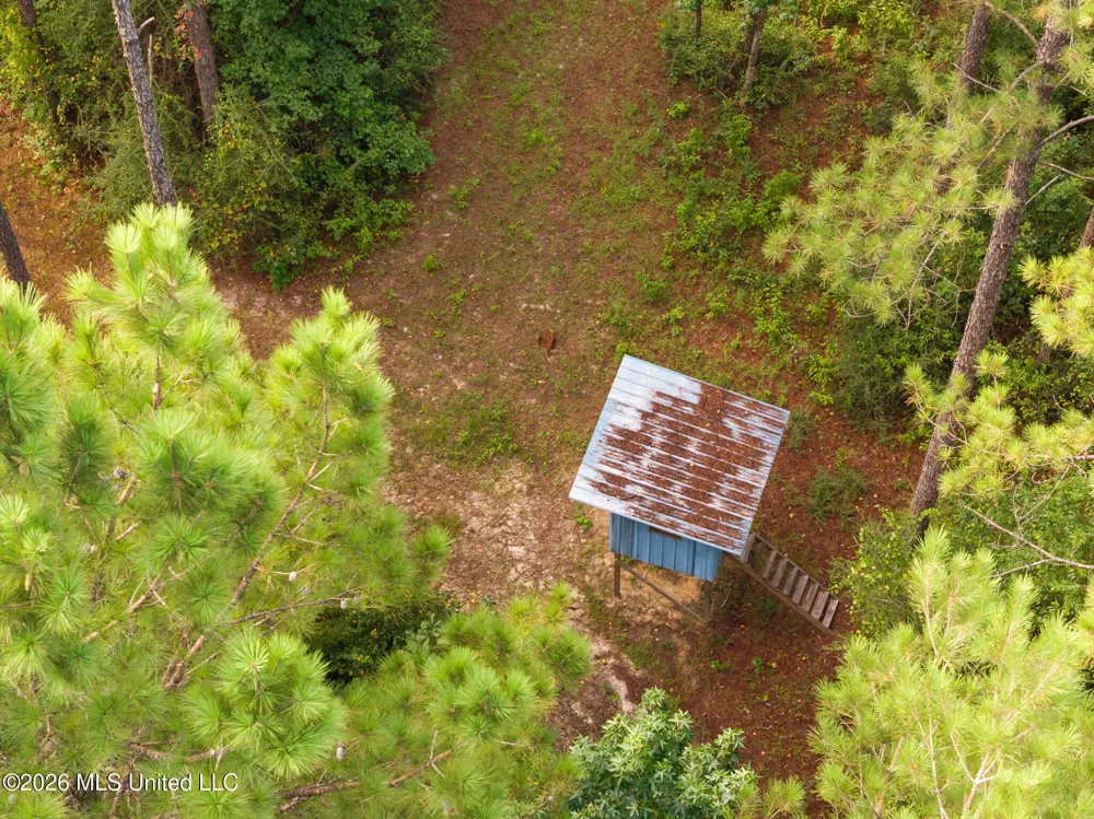 Arthur Lowe Road Lumberton, MS 39455