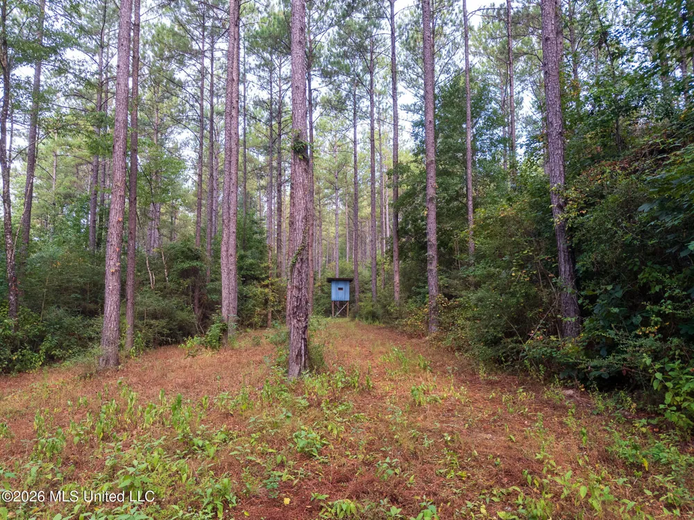 Arthur Lowe Road Lumberton, MS 39455