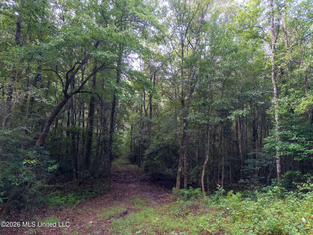 Arthur Lowe Road Lumberton, MS 39455