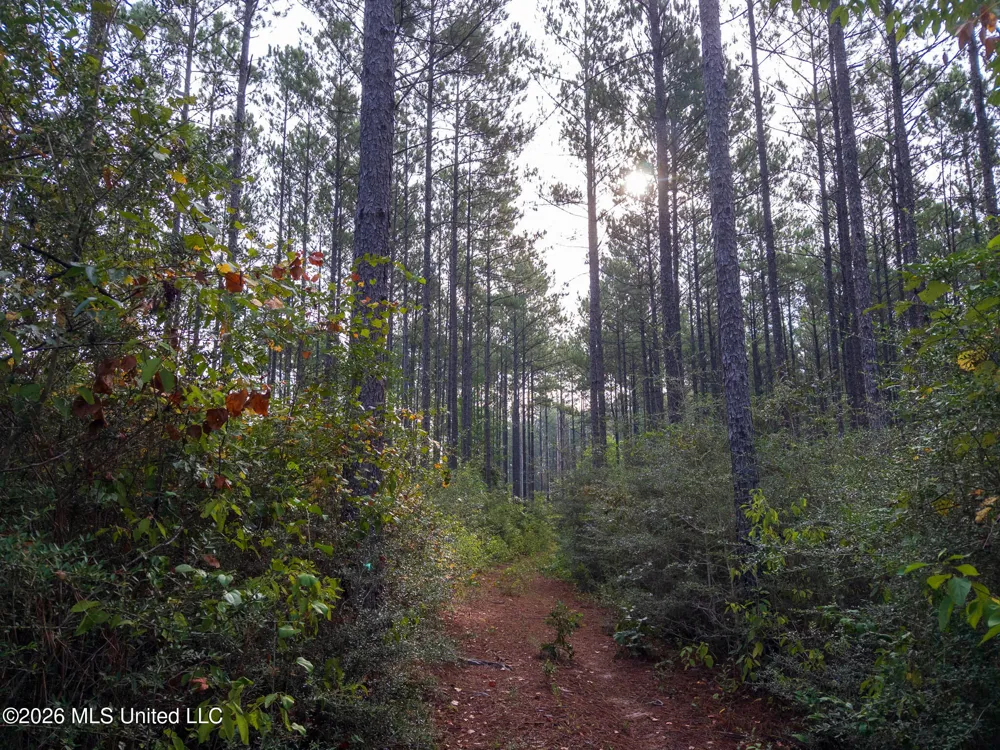 Arthur Lowe Road Lumberton, MS 39455