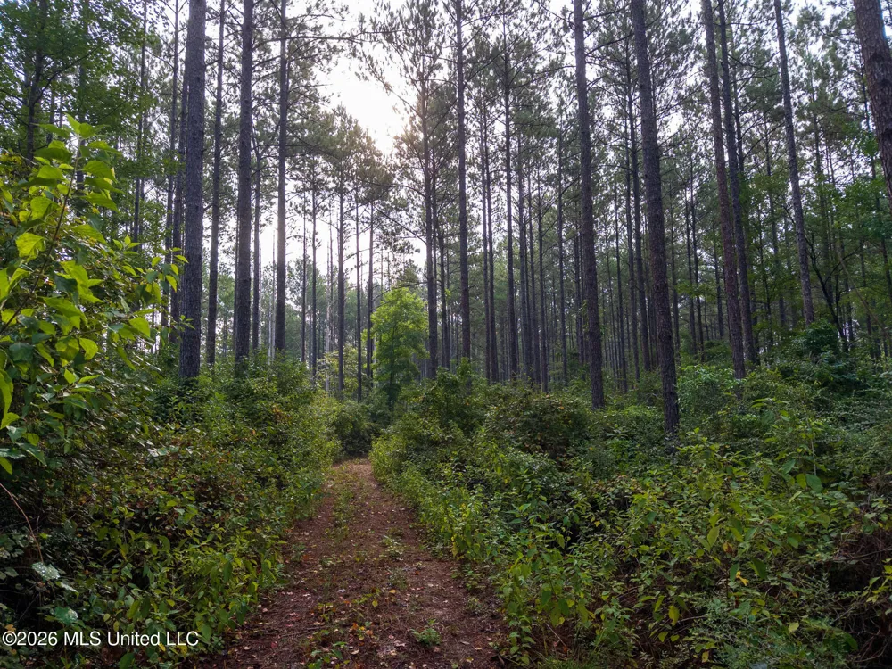 Arthur Lowe Road Lumberton, MS 39455