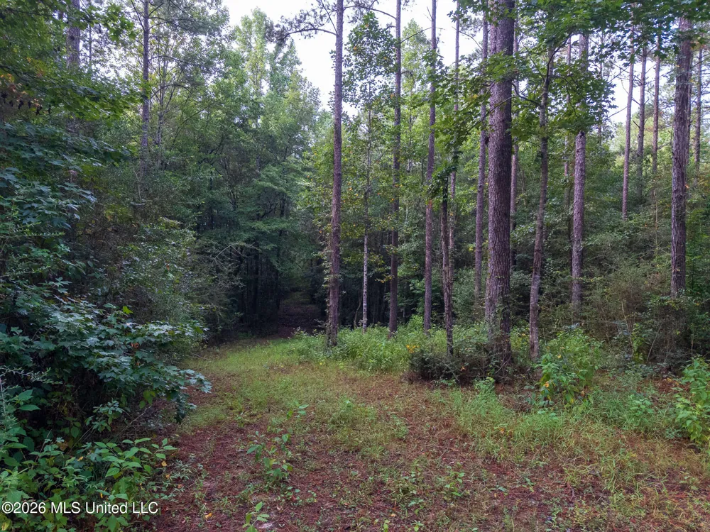 Arthur Lowe Road Lumberton, MS 39455