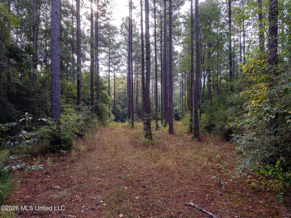 Arthur Lowe Road Lumberton, MS 39455