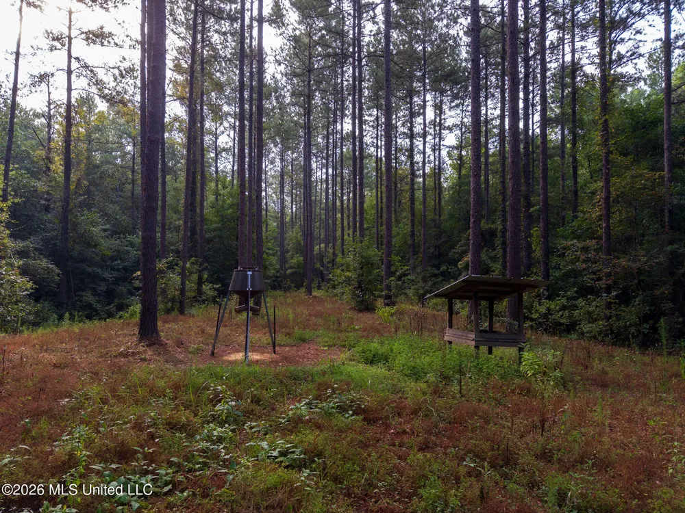 Arthur Lowe Road Lumberton, MS 39455