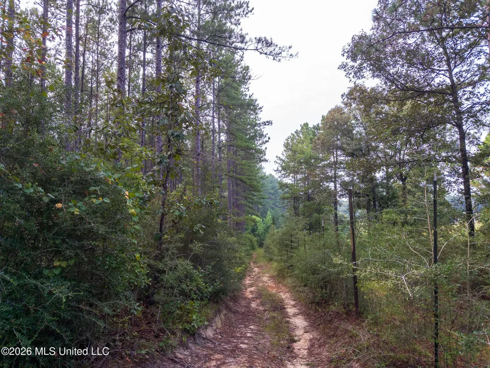 Arthur Lowe Road Lumberton, MS 39455