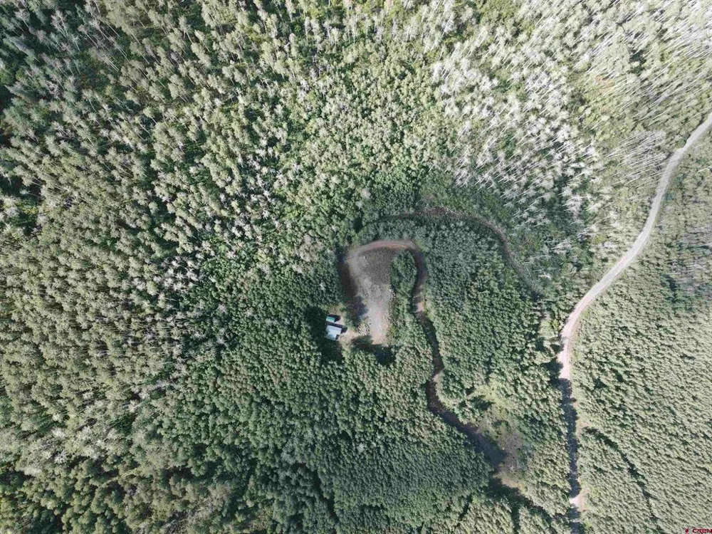 33458 Alt Vista Road Hotchkiss, CO 81419