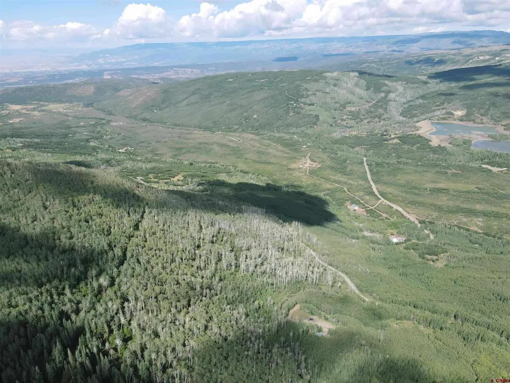 33458 Alt Vista Road Hotchkiss, CO 81419