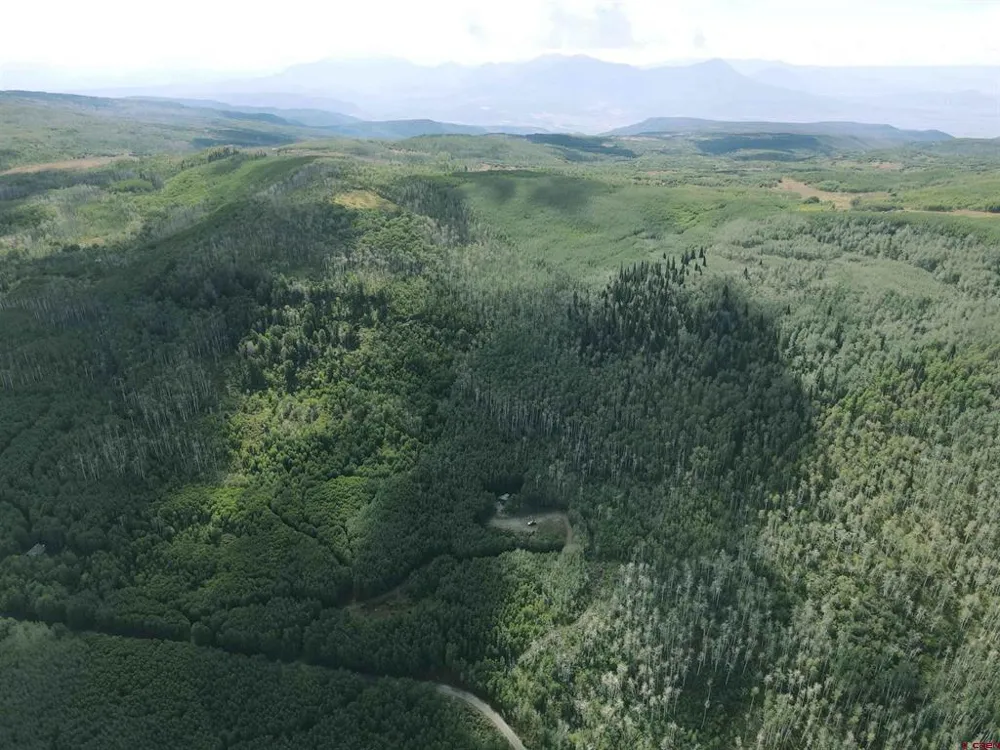 33458 Alt Vista Road Hotchkiss, CO 81419