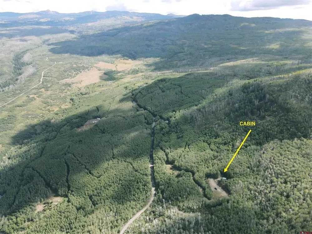 33458 Alt Vista Road Hotchkiss, CO 81419