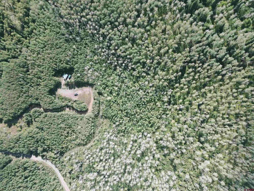 33458 Alt Vista Road Hotchkiss, CO 81419