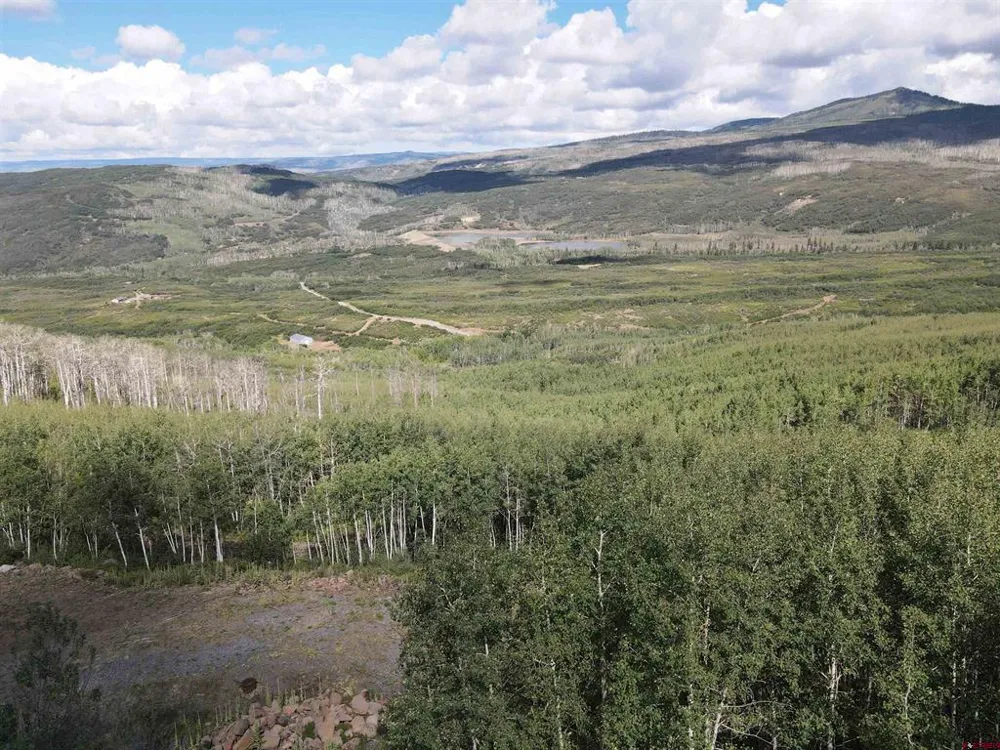 33458 Alt Vista Road Hotchkiss, CO 81419