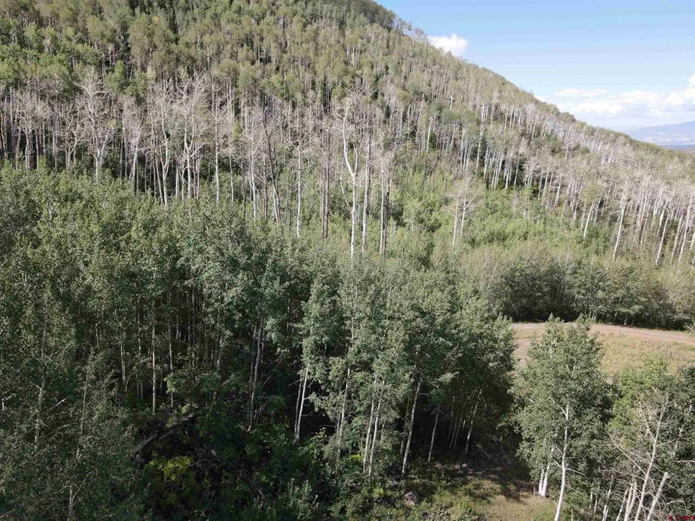 33458 Alt Vista Road Hotchkiss, CO 81419