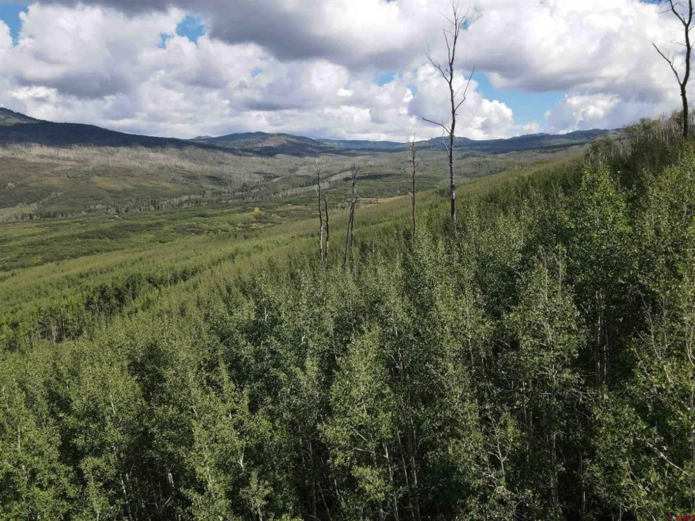 33458 Alt Vista Road Hotchkiss, CO 81419