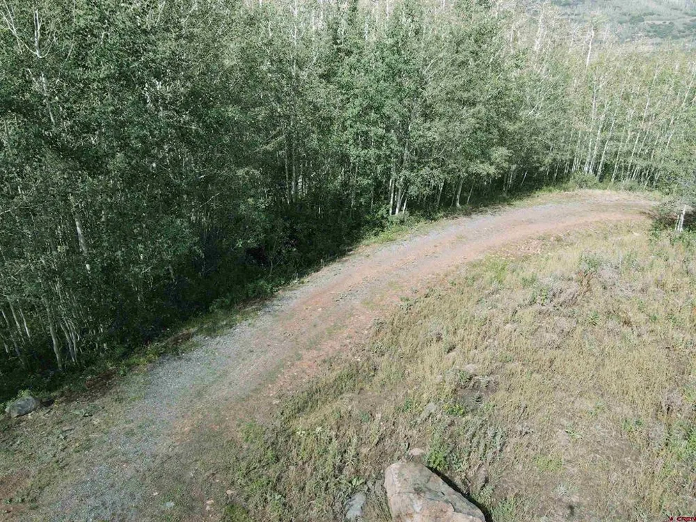 33458 Alt Vista Road Hotchkiss, CO 81419