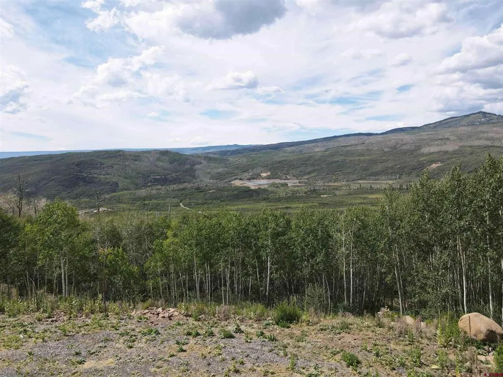 33458 Alt Vista Road Hotchkiss, CO 81419
