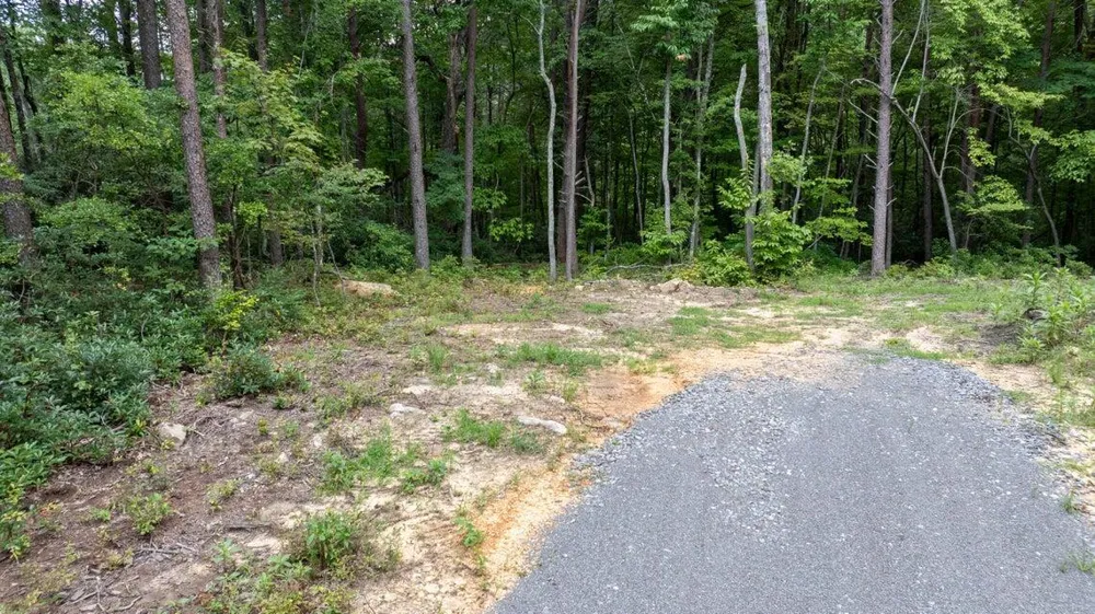 23 Escape Drive Evensville, TN 37332