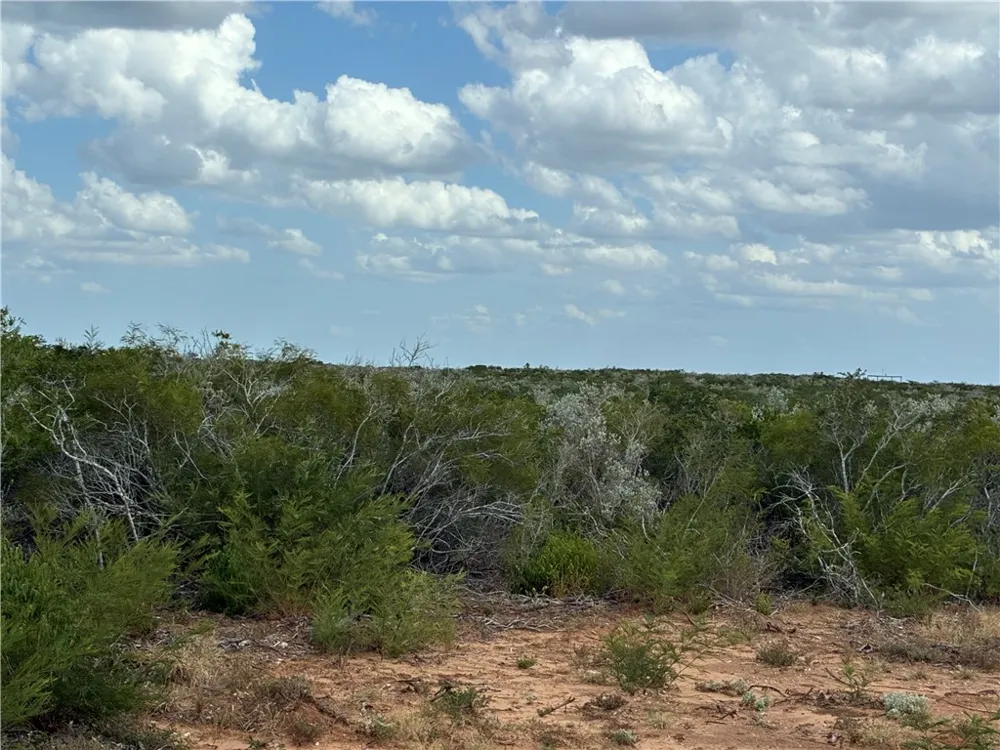 CR 2150 San Diego, TX 78384