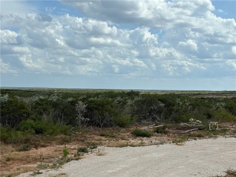 CR 2150 San Diego, TX 78384