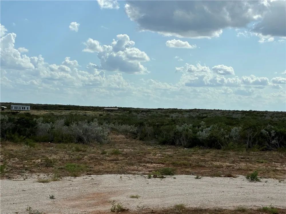 CR 2150 San Diego, TX 78384