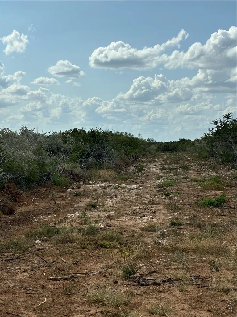 CR 2150 San Diego, TX 78384