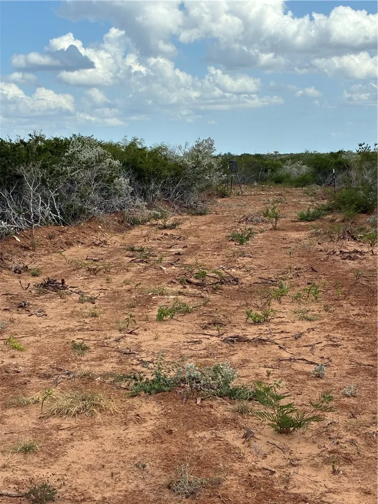 CR 2150 San Diego, TX 78384
