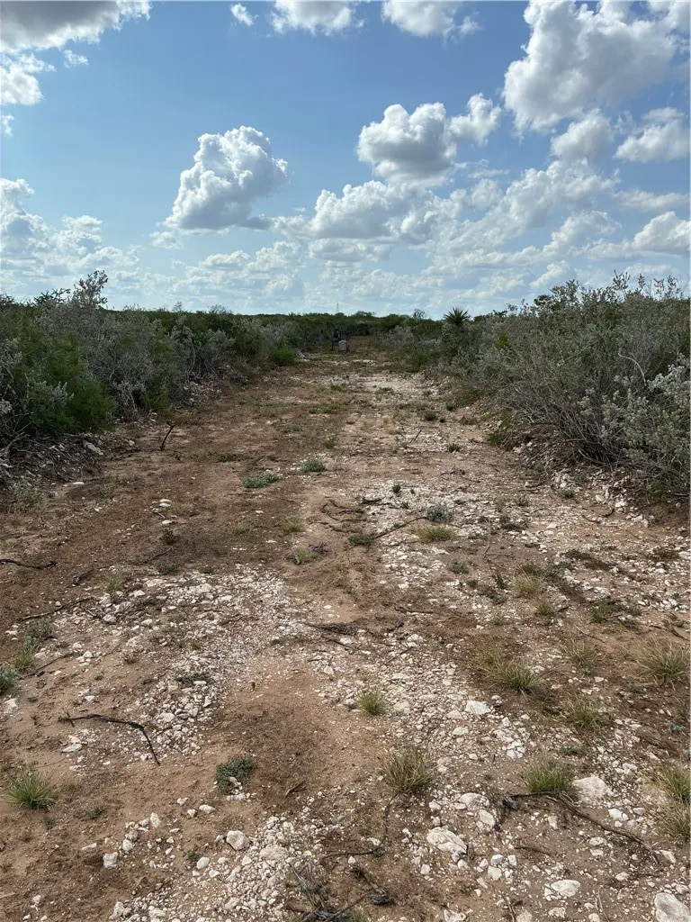 CR 2150 San Diego, TX 78384