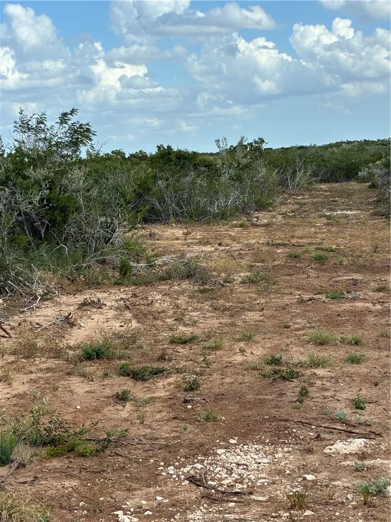 CR 2150 San Diego, TX 78384