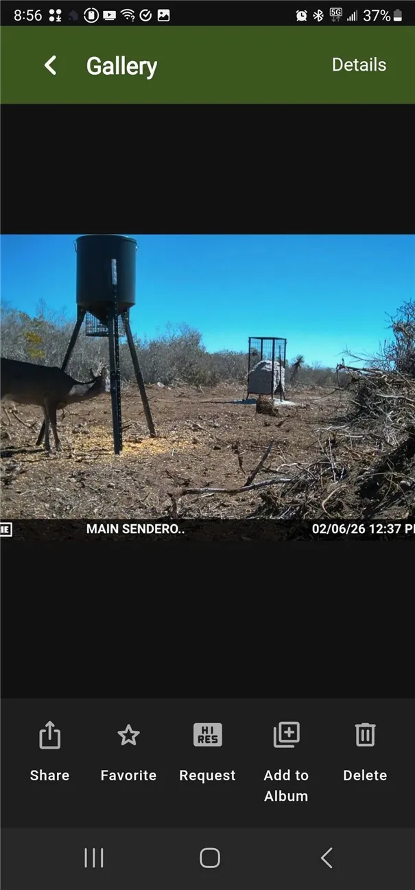 CR 2150 San Diego, TX 78384