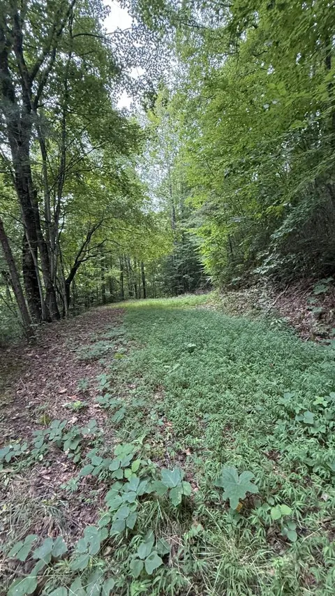 Fox Run Ridge