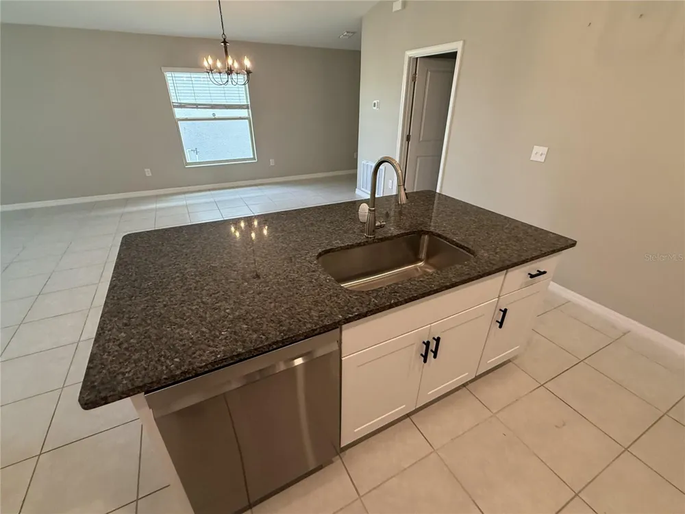 15516 MILLER CREEK DRIVE Sun City Center, FL 33573