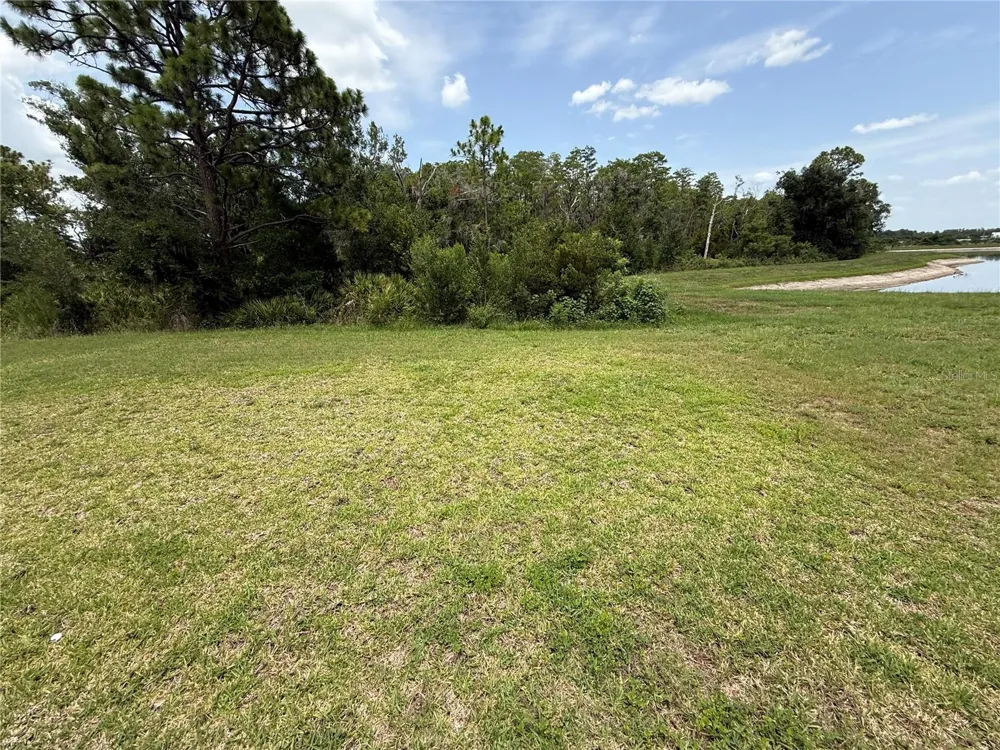 15516 MILLER CREEK DRIVE Sun City Center, FL 33573