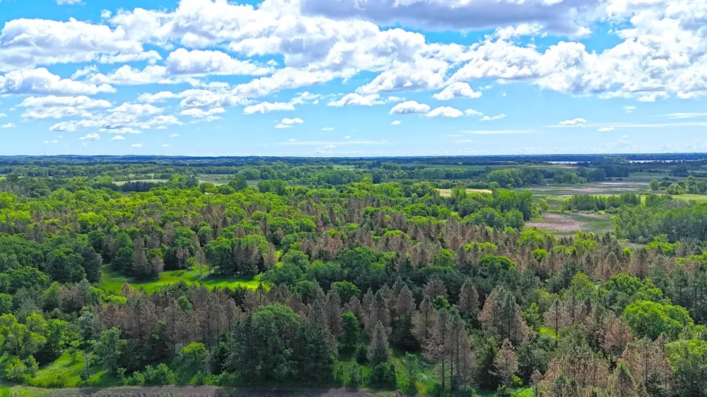 16435 26th St NE New London, MN 56273