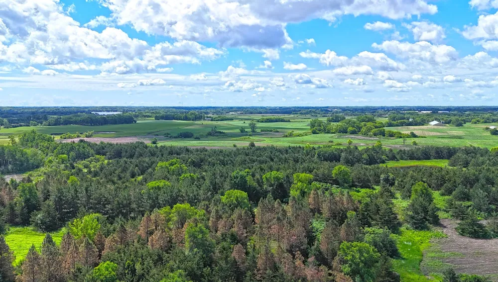16435 26th St NE New London, MN 56273