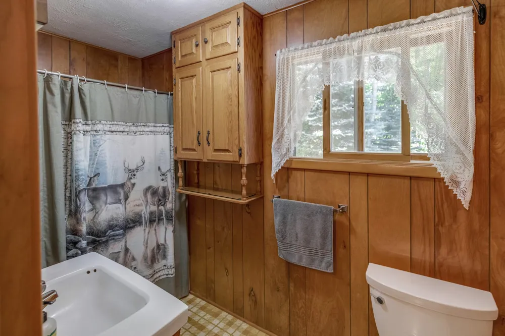 4205 Ogema Point Drive NW Hackensack, MN 56452