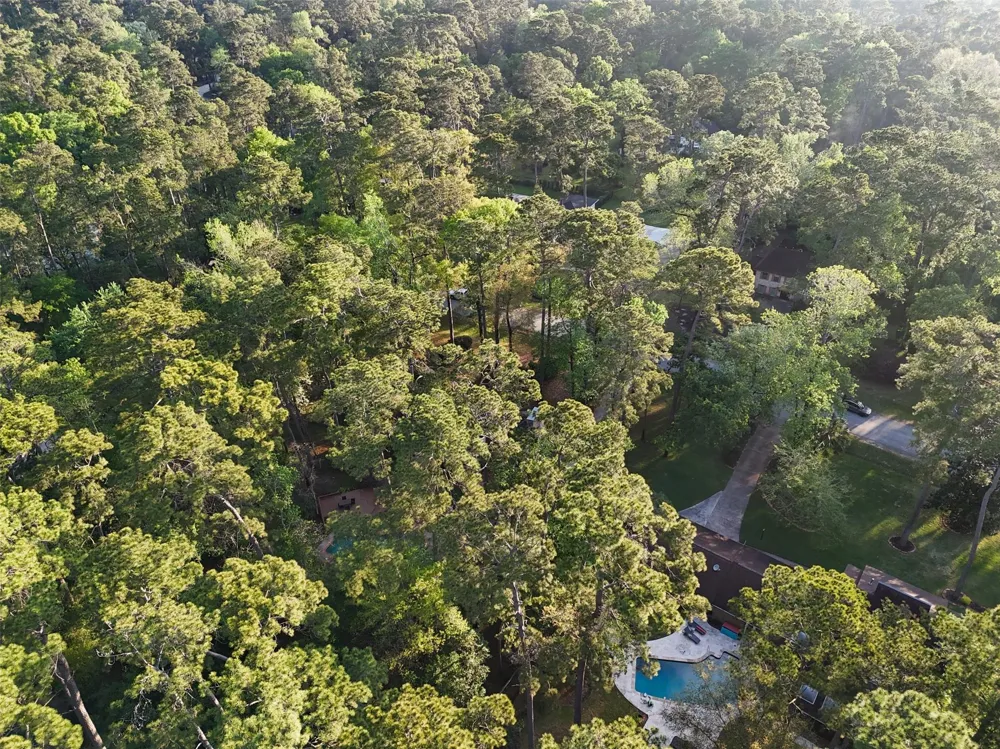2918 Kings Forest Drive Kingwood, TX 77339