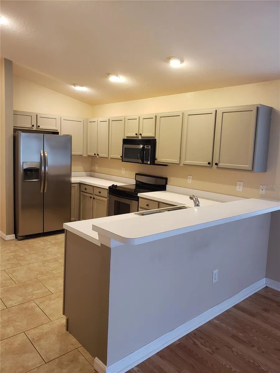 31316 TRIBOROUGH DRIVE Wesley Chapel, FL 33545
