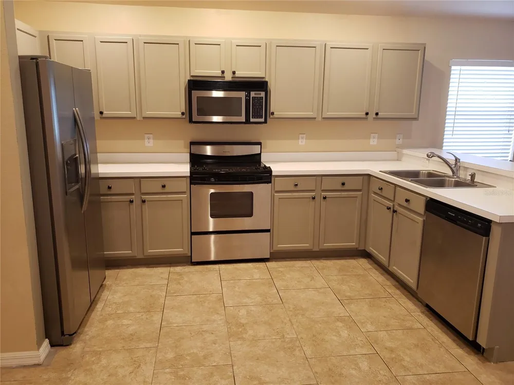 31316 TRIBOROUGH DRIVE Wesley Chapel, FL 33545