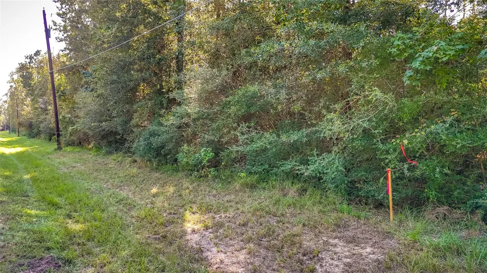 24 Timber Grove Livingston, TX 77351