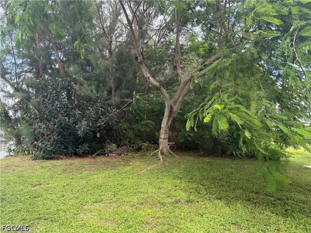 SE 21st Street Cape Coral, FL 33990
