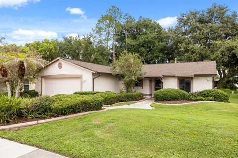 11813 SCOTTY DRIVE