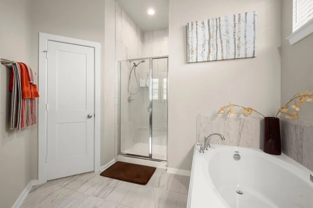 255 S Spotted Fern Drive Montgomery, TX 77316