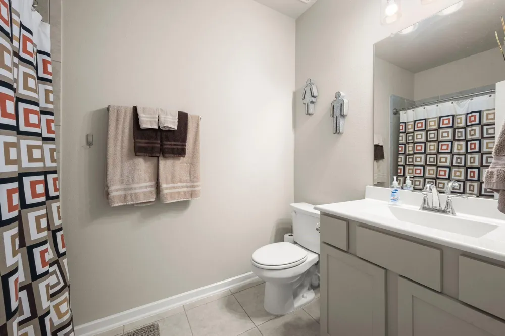 255 S Spotted Fern Drive Montgomery, TX 77316