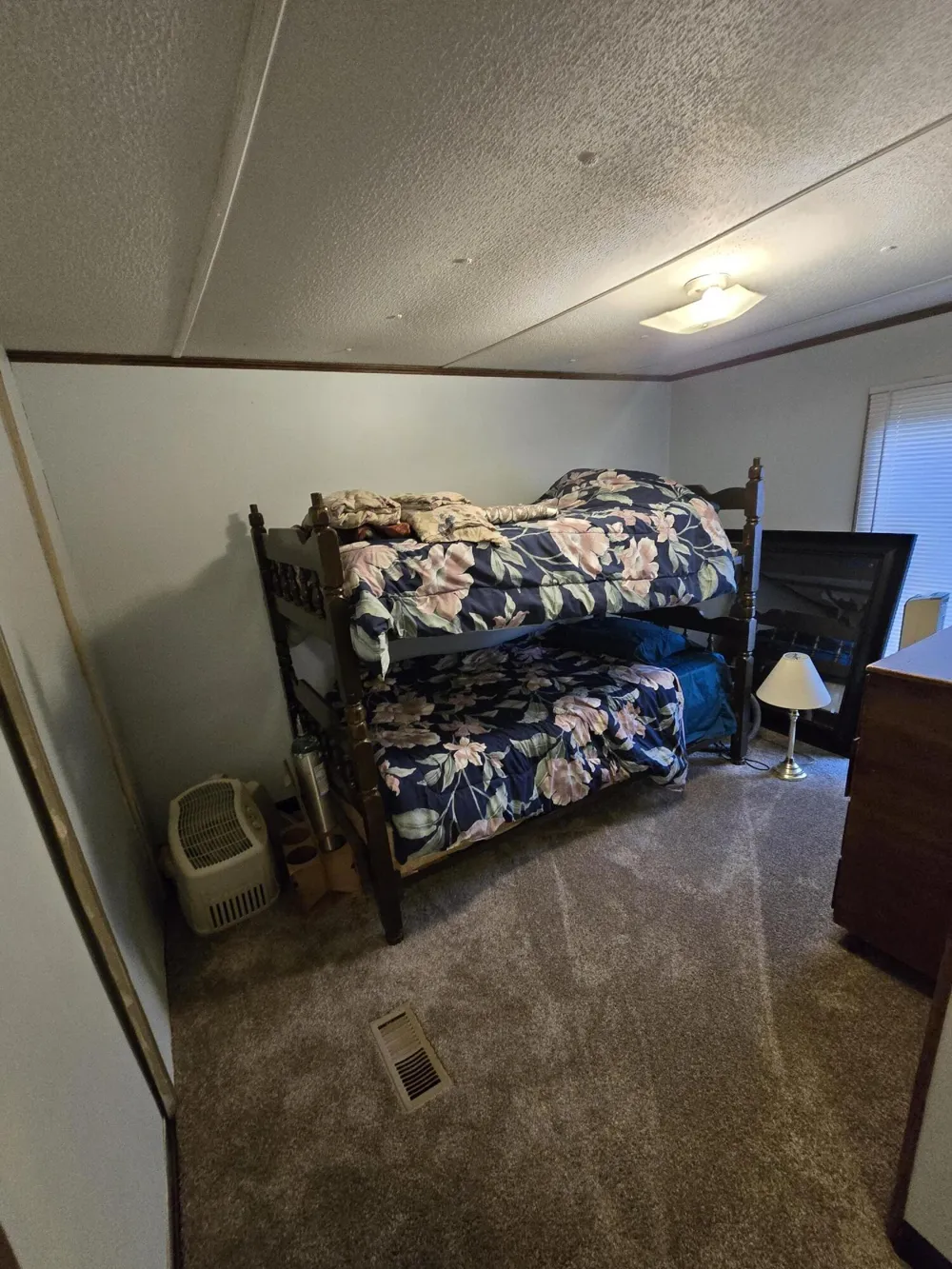 11933 S Wedgewood Avenue Baldwin, MI 49304